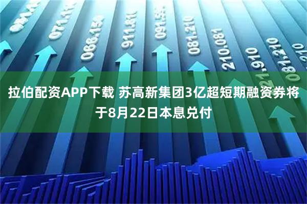 拉伯配资APP下载 苏高新集团3亿超短期融资券将于8月22日本息兑付