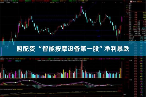 盟配资 “智能按摩设备第一股”净利暴跌